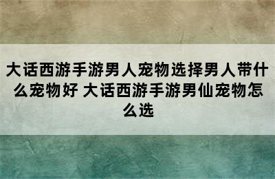 大话西游手游男人宠物选择男人带什么宠物好 大话西游手游男仙宠物怎么选